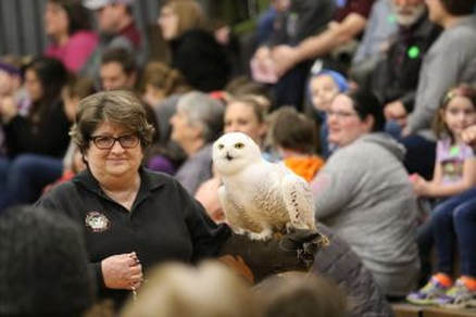 Jane Seitz with the Illinois raptor center holds a snowy owl in front of a crowd.